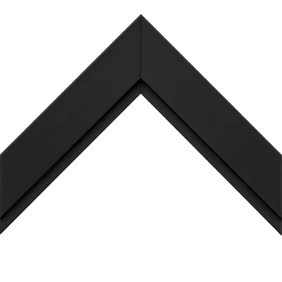 Black float frame concept