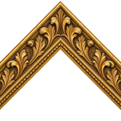 Classical gold frame concept