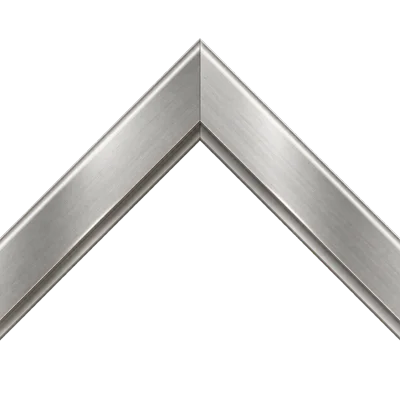 Brushed silver frame concept